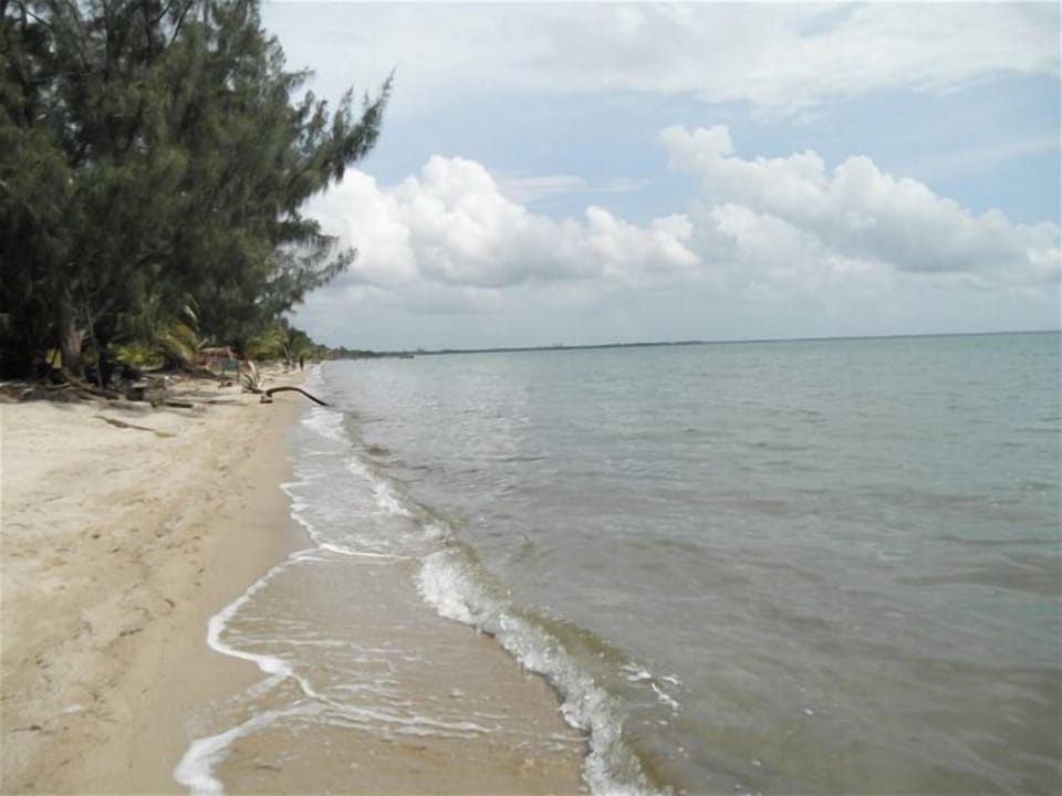 Beach looking north