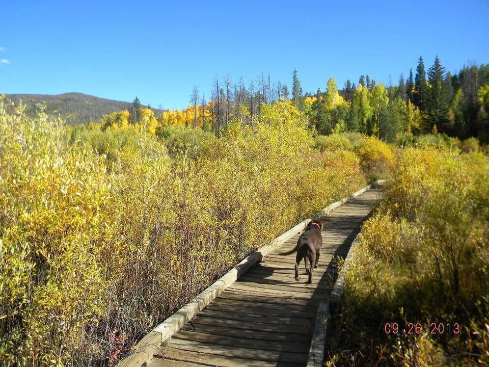 Many hiking trails nearby