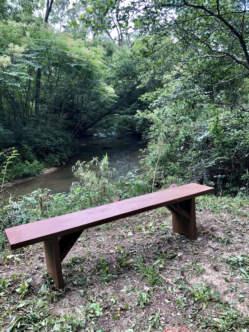 View along Hothouse Creek hiking trail