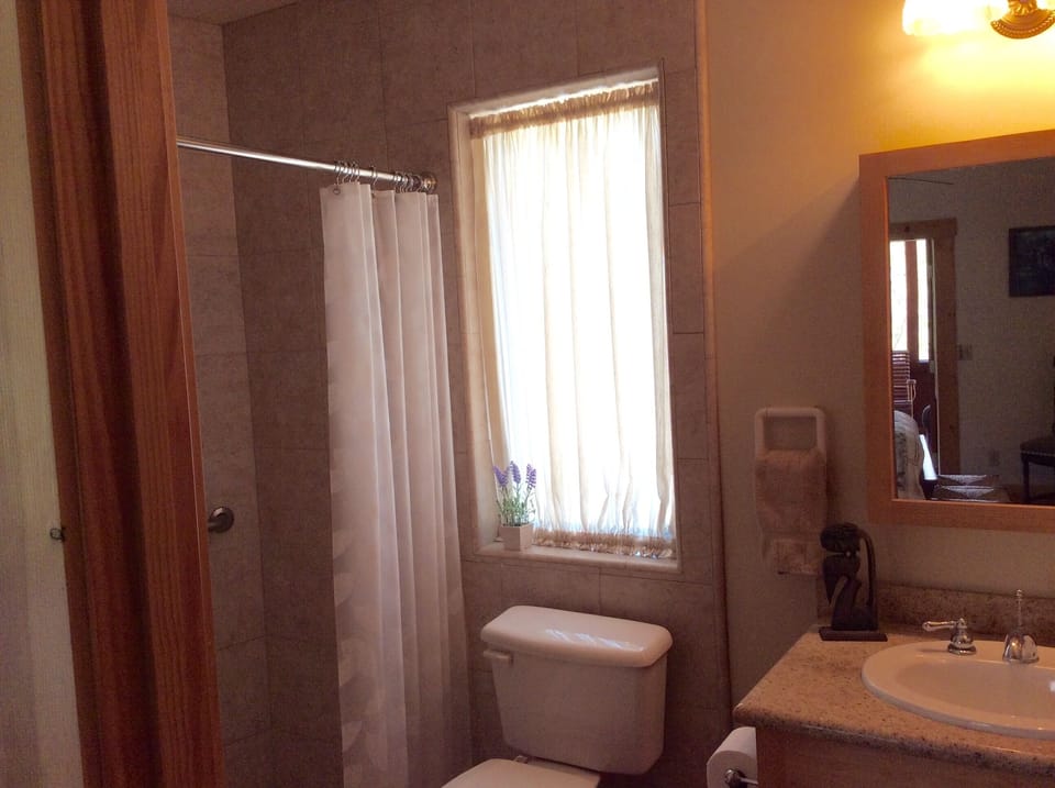 Master bath with walk-in shower and large closet