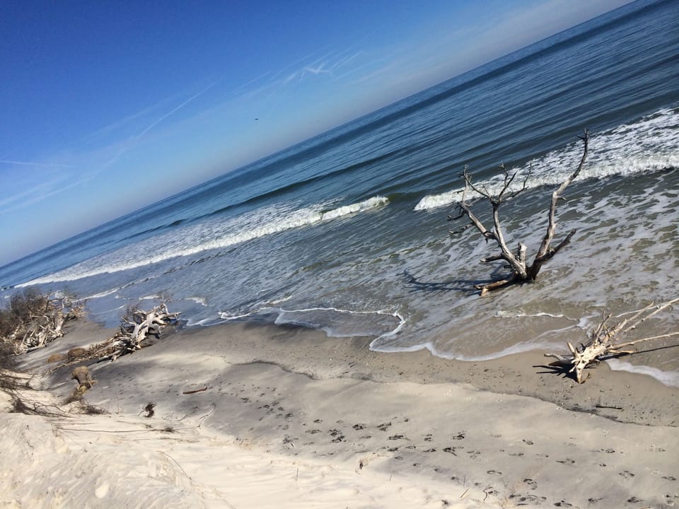 Little Talbot Island