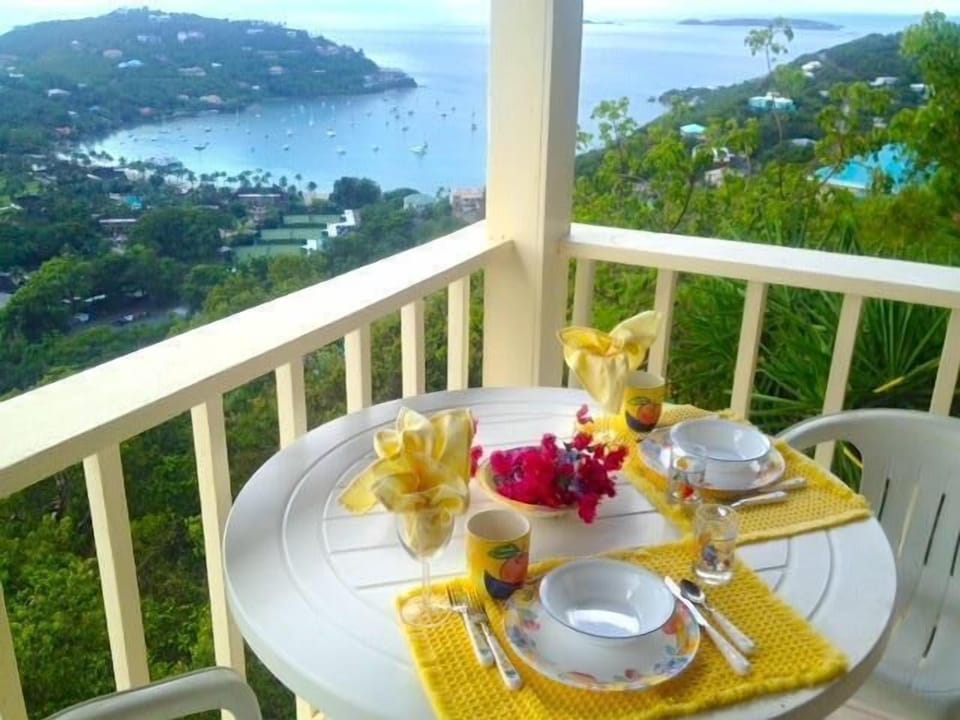 From your dinning table see Great Cruz Bay & Chocolate Hole