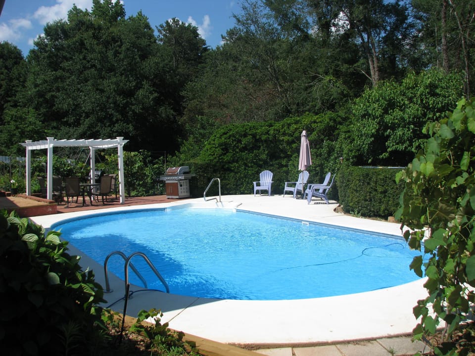 Pool and the backyard