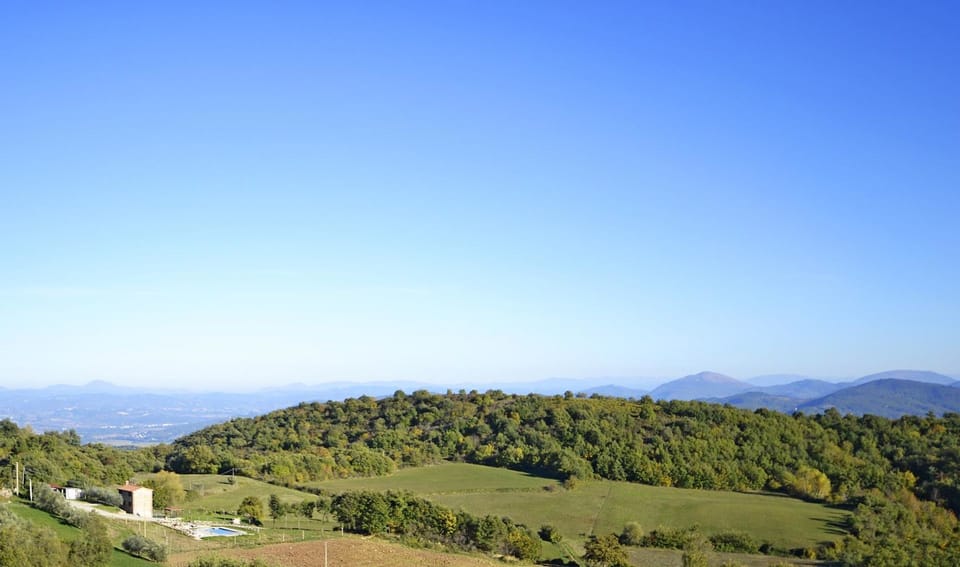 Panoramic view