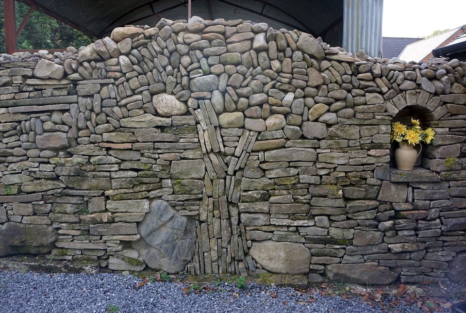 The magic tree in the back garden