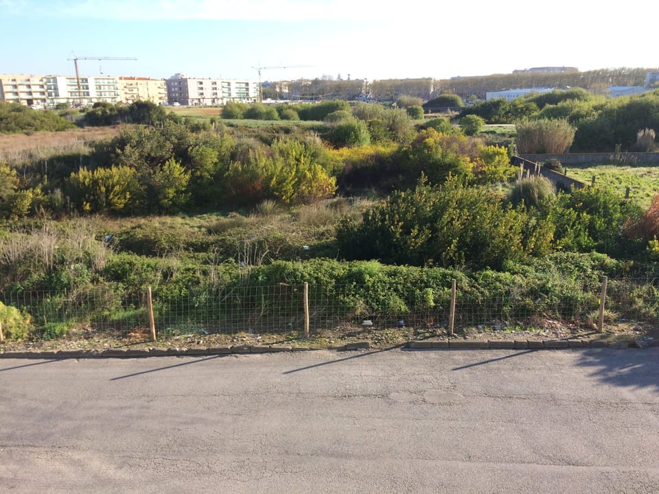 Vila do Conde Apartment Apartment in Porto District