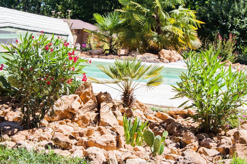 You will appreciate the exotic surroundings of the swimming pool