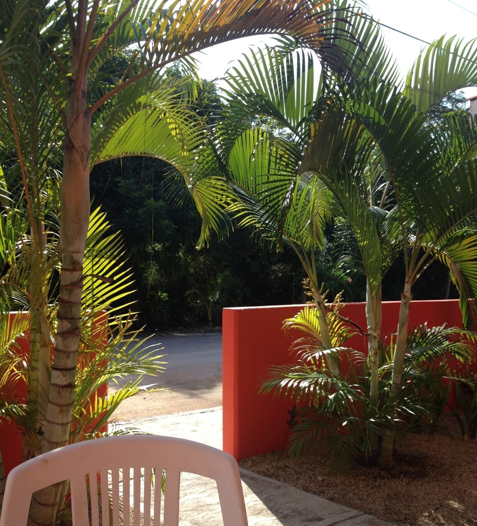 The view from the patio