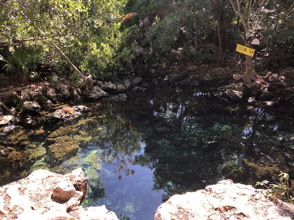 A cenote just down the block from Casa Maare