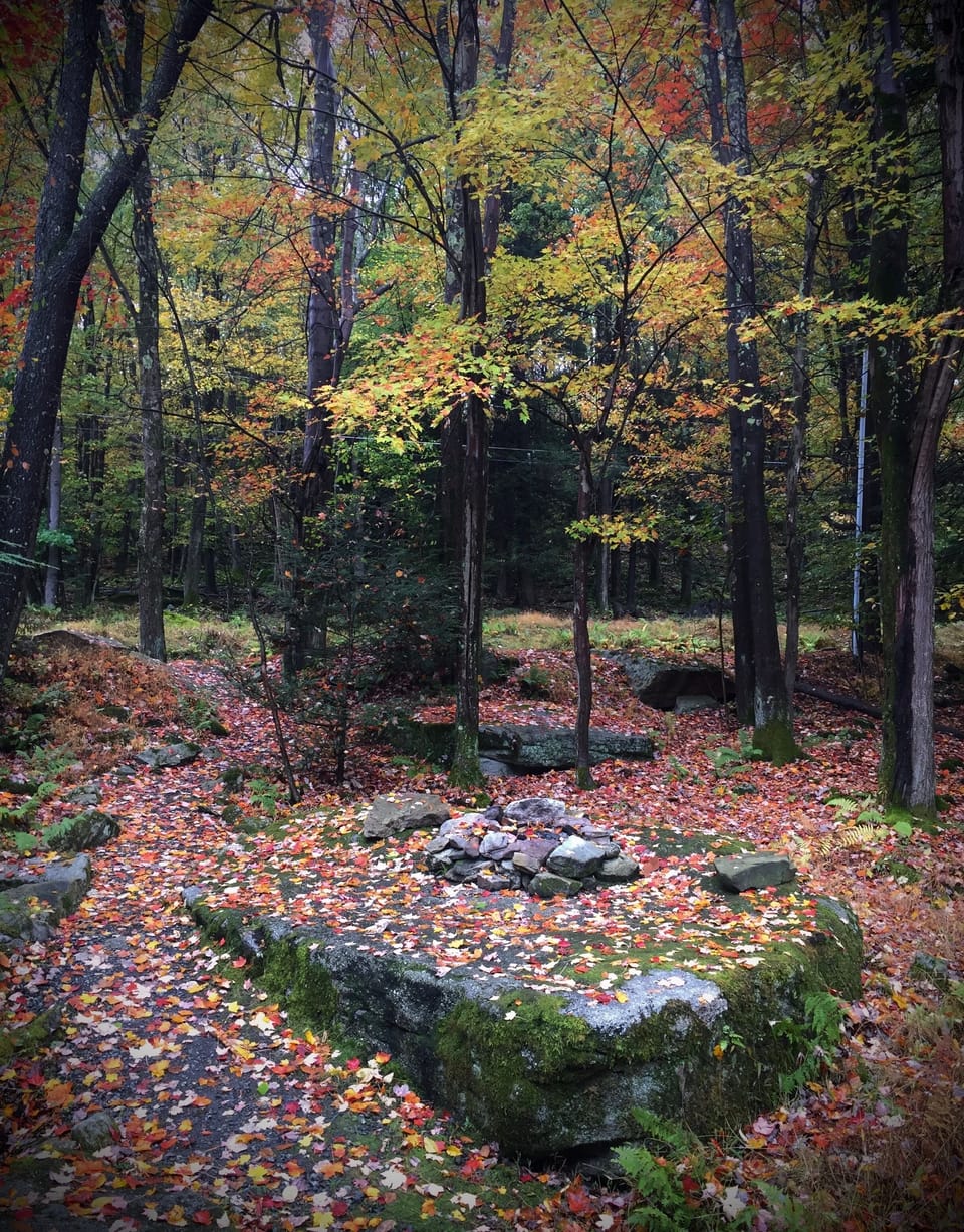 Autumn view from the deck