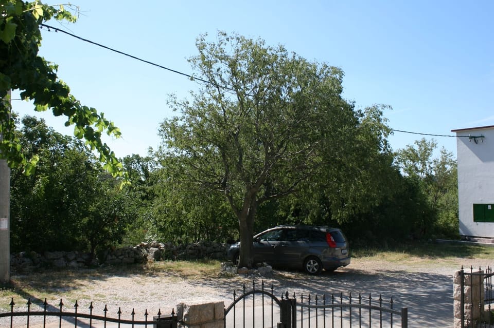 Terrace 1