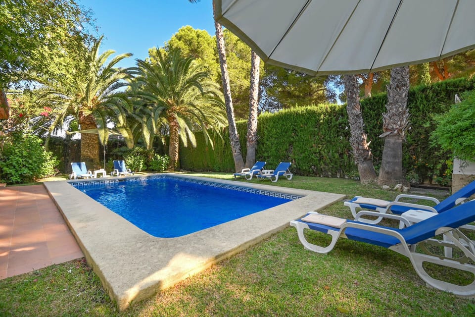 Garden and swimming pool