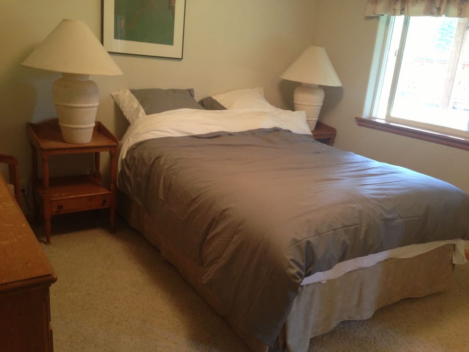 Downstairs guest room