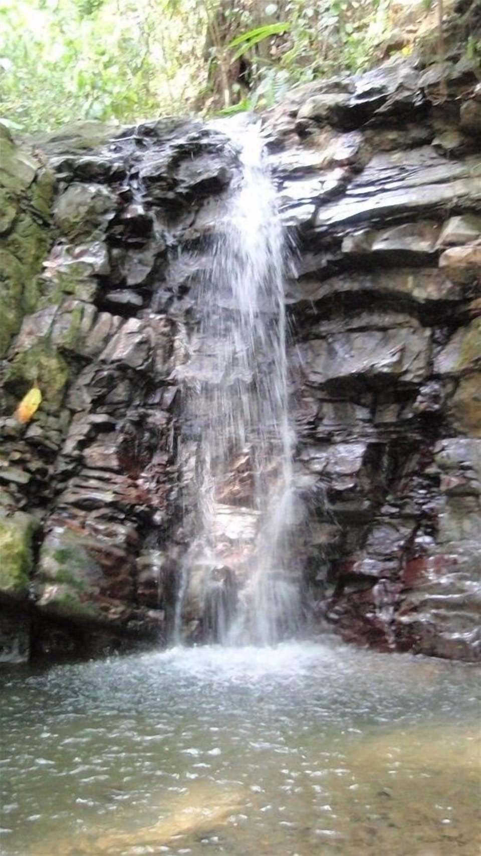Take a walk along the creek to our nearby waterfall.