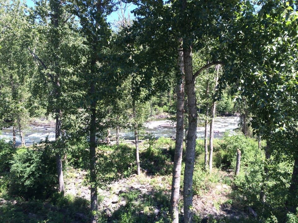 View from the deck in early summer