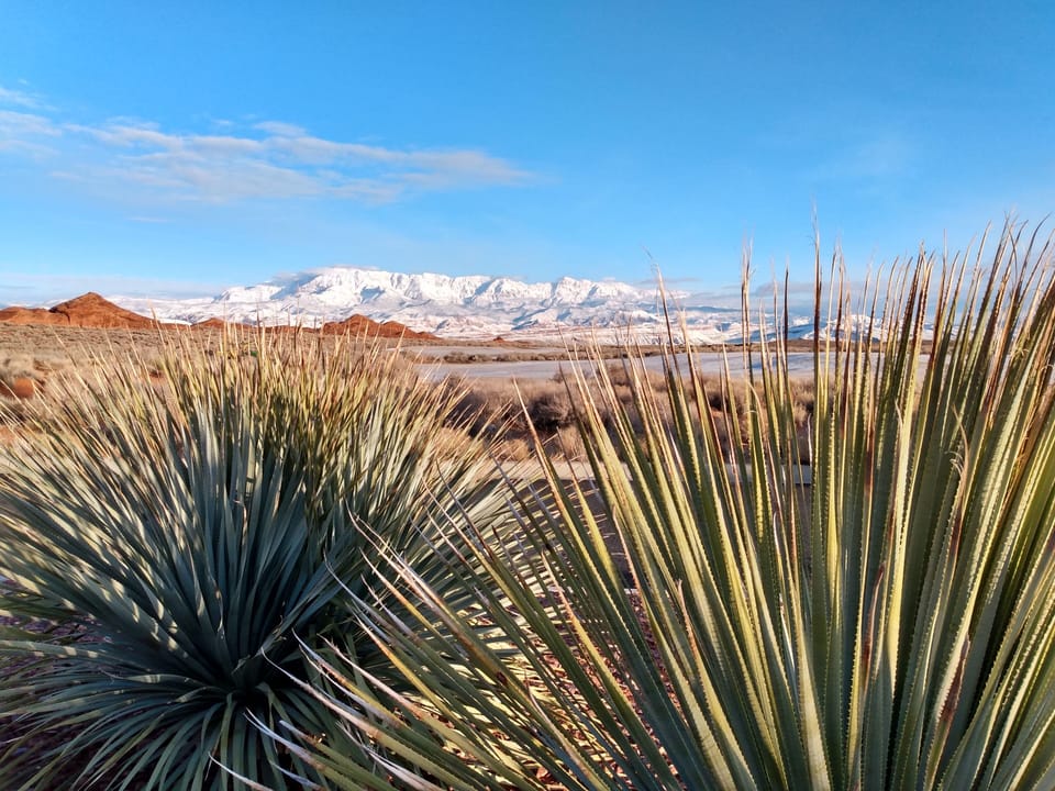 Breathtaking views from all locations within the resort!
