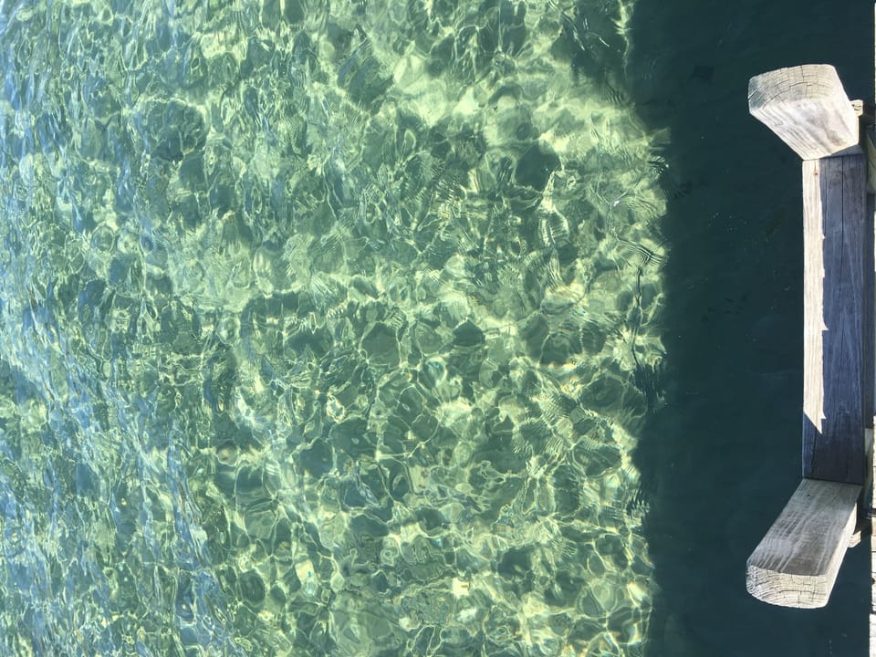 Swimming Ladder off Dock