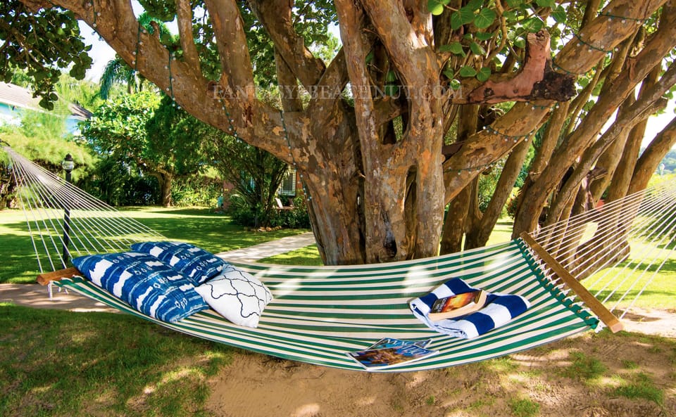 Hammocks on the beach