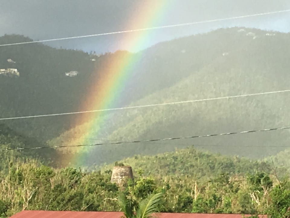 Local Sugar Mill underscores the constant breezes