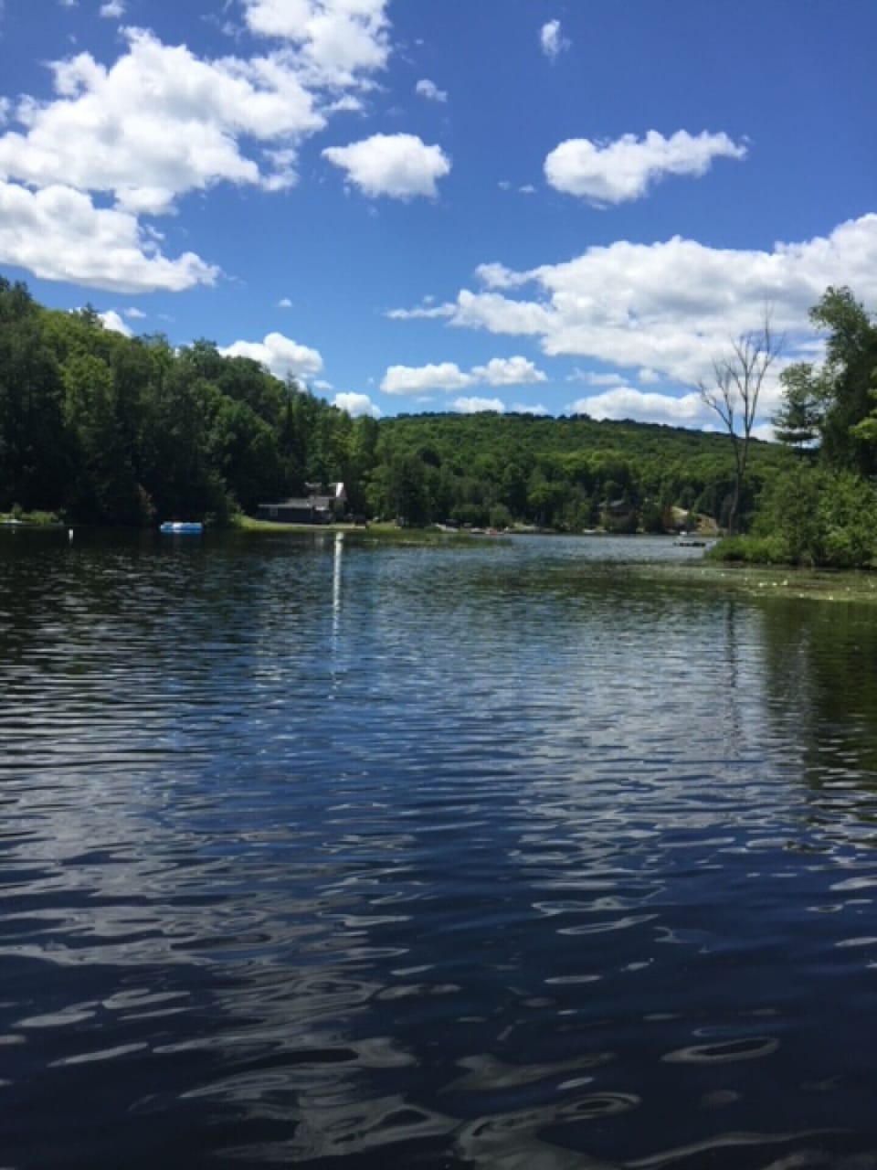 View from the dock