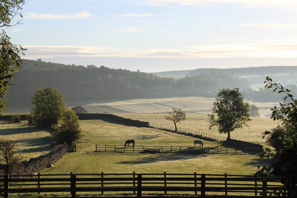 Season of mists and mellow fruitfulness, across the Lowther valley to Whale.