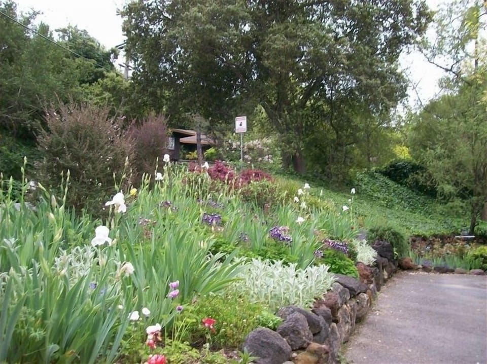 Front yard in the Spring!