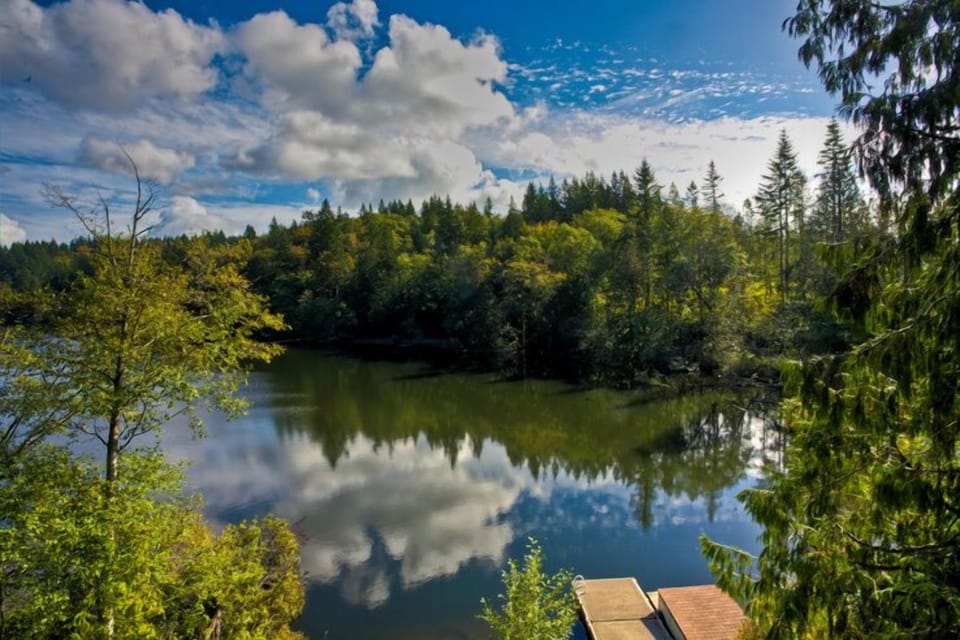 View of the dock