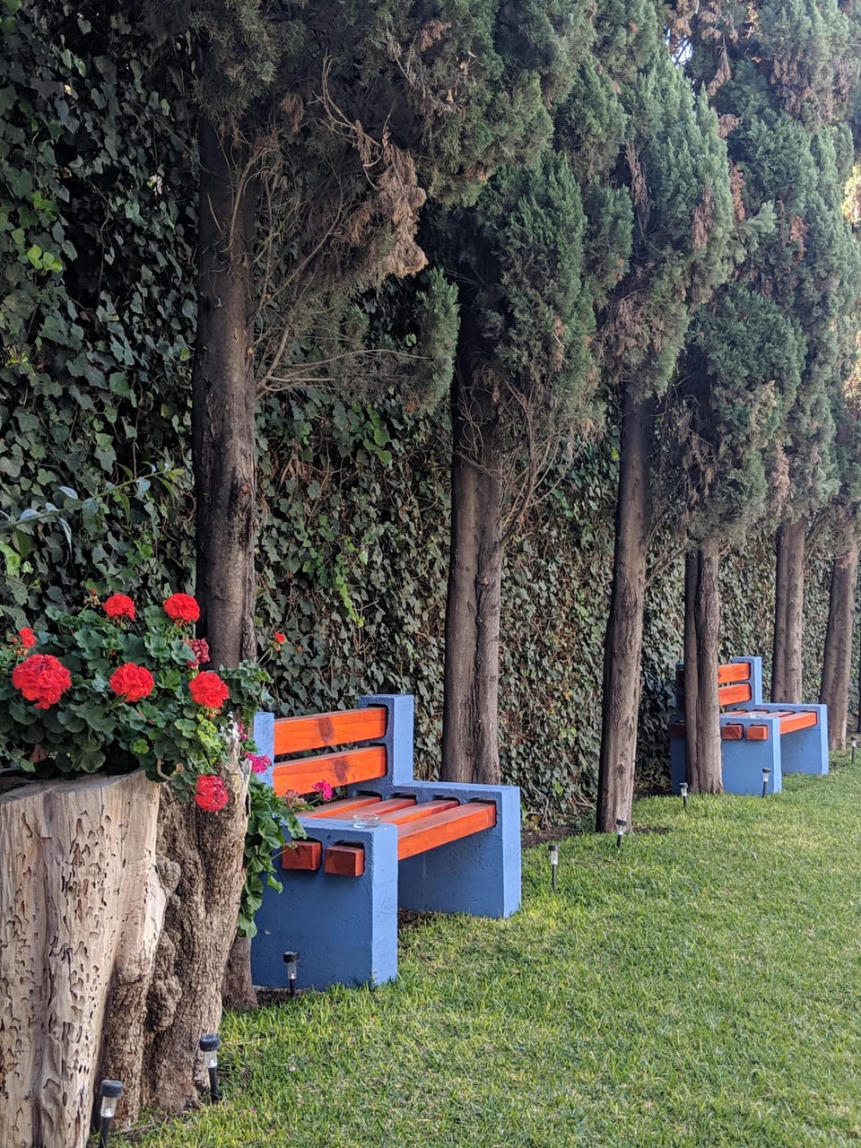 Jardín de Estancia Boutique O