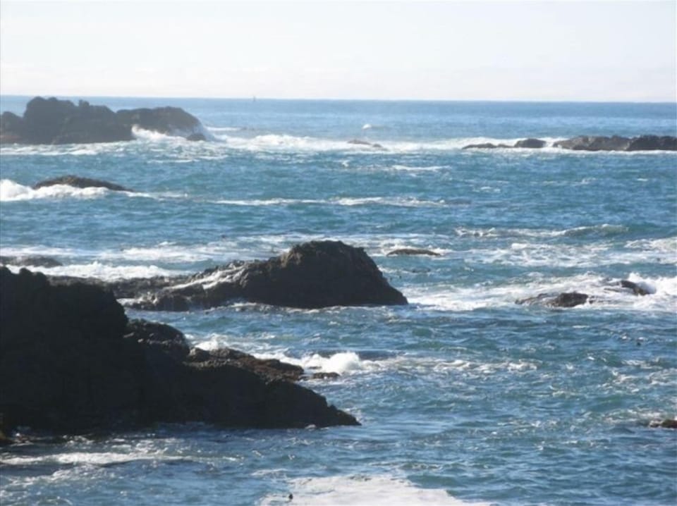 3 minute drive to the beach, the Haul Road trail, and MacKerricher State Park
