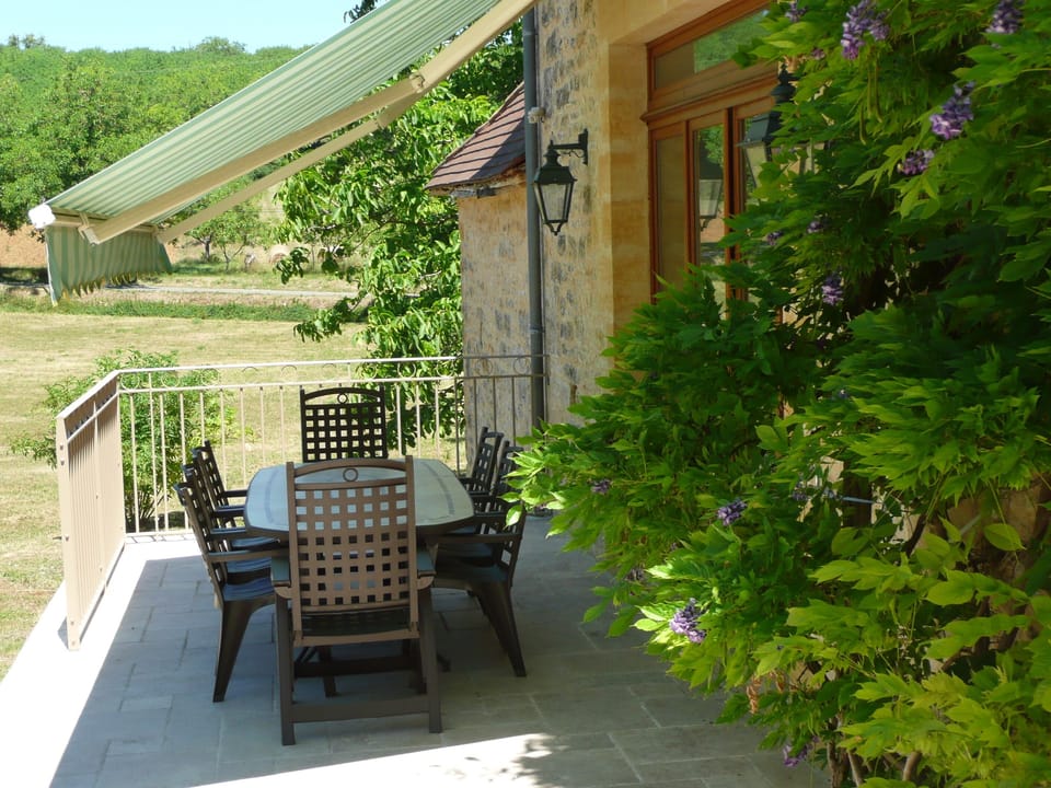 The shady rear terrace