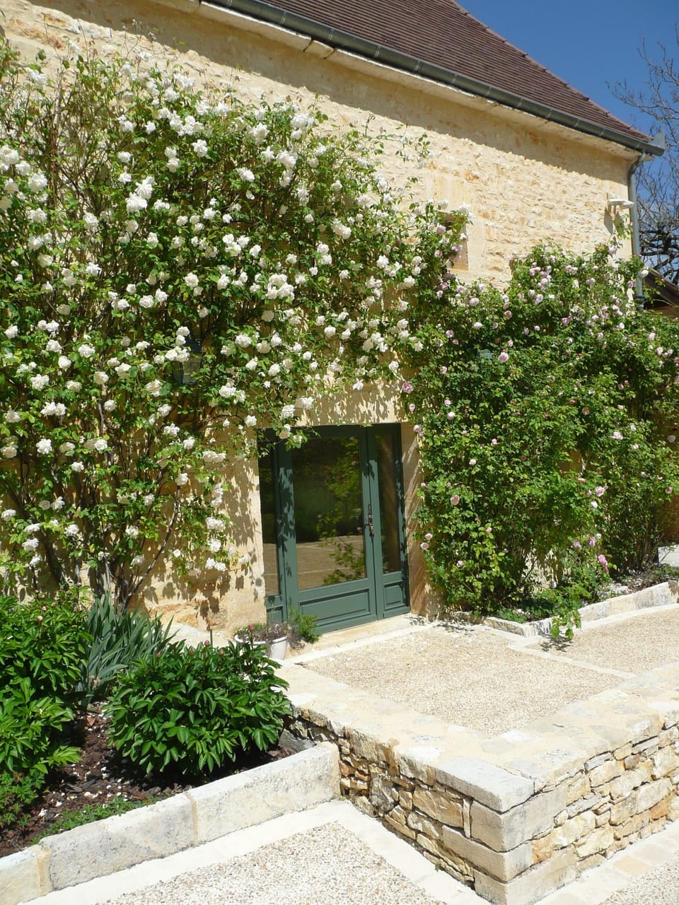 Roses round the kitchen door