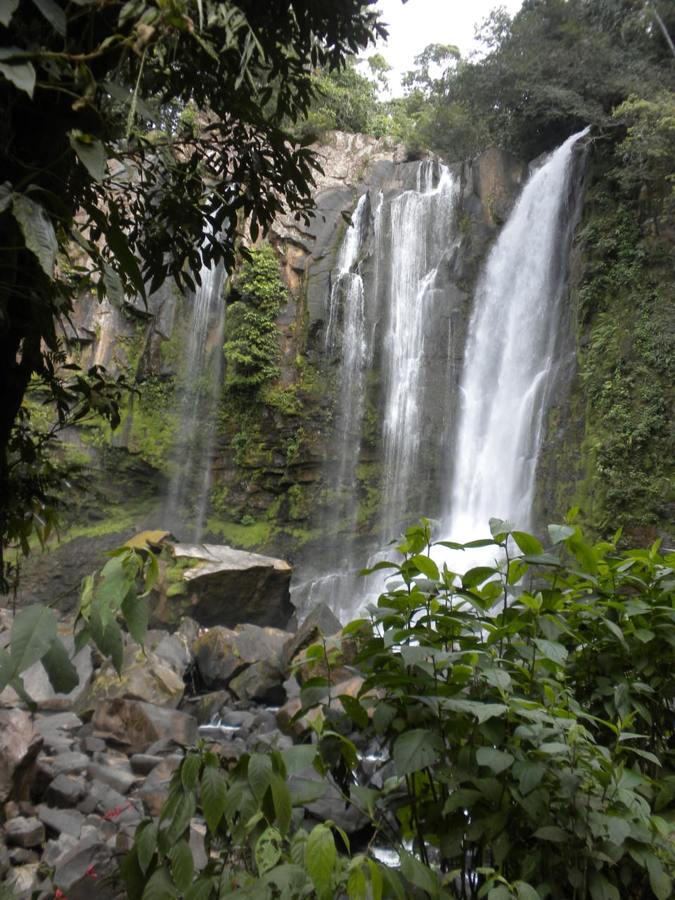 Visit the beautiful Nauyaca Waterfalls near Uvita