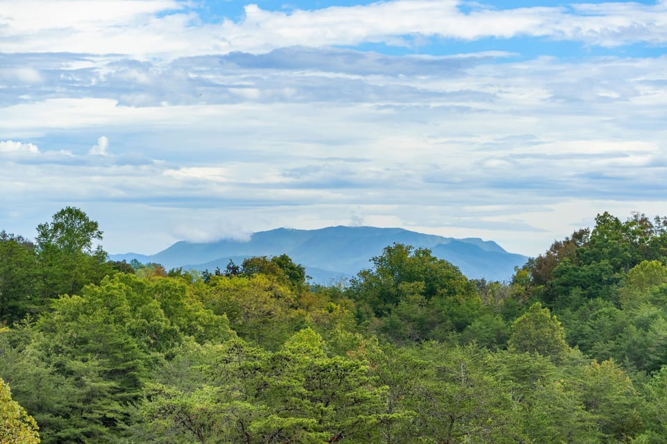 Nature, Outdoors, Sky, Vegetation, Weather