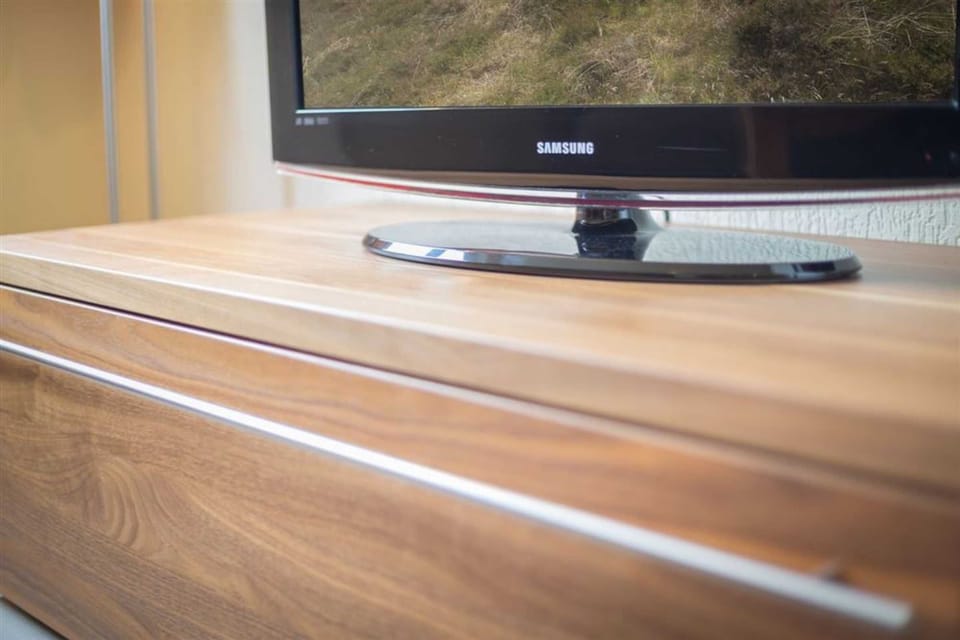 Television