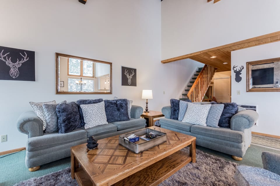 Living Room, Gas Fireplace, Queen Sleeper Sofa Couch, Flat Screen TV,  Cable