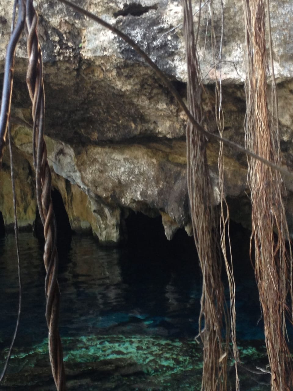 Swim or snorkel in one of the near by Cenotes- this is grand cenote Tulum