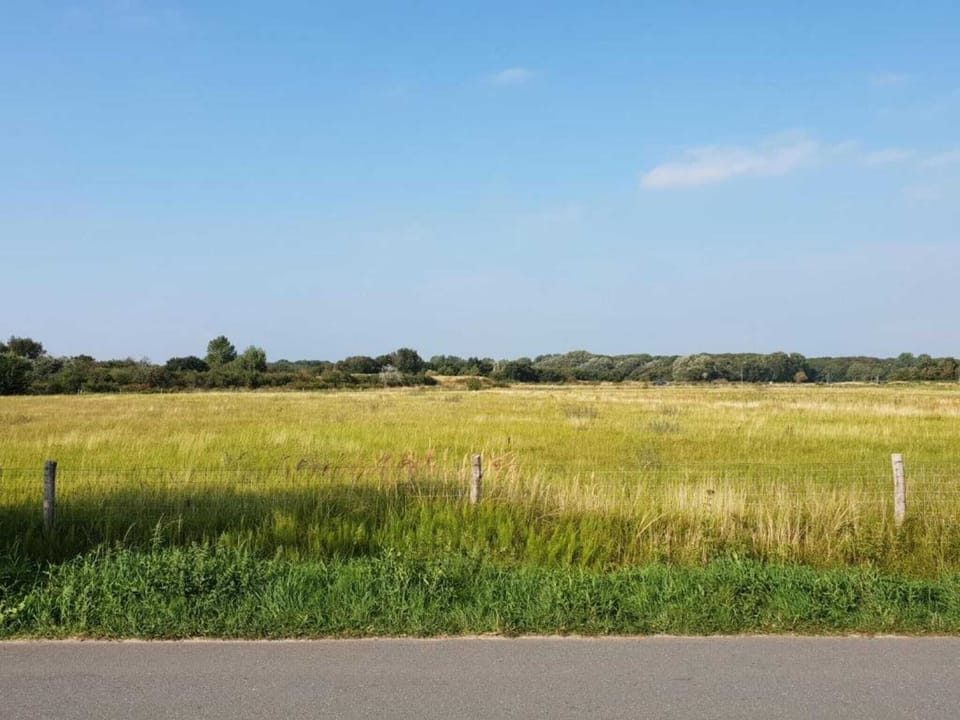 Region [summer] (>5 km)