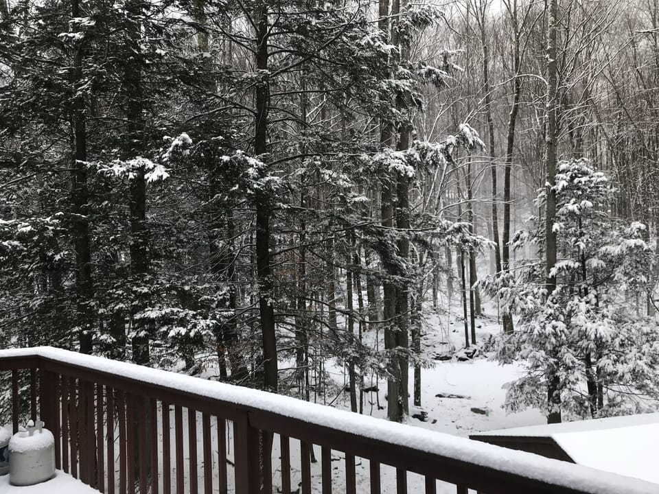 View from the back deck