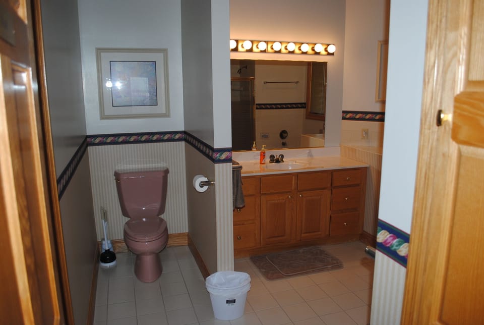 Large bathroom with 10' ceiling and skylight, jacuzzi tub and seperate shower