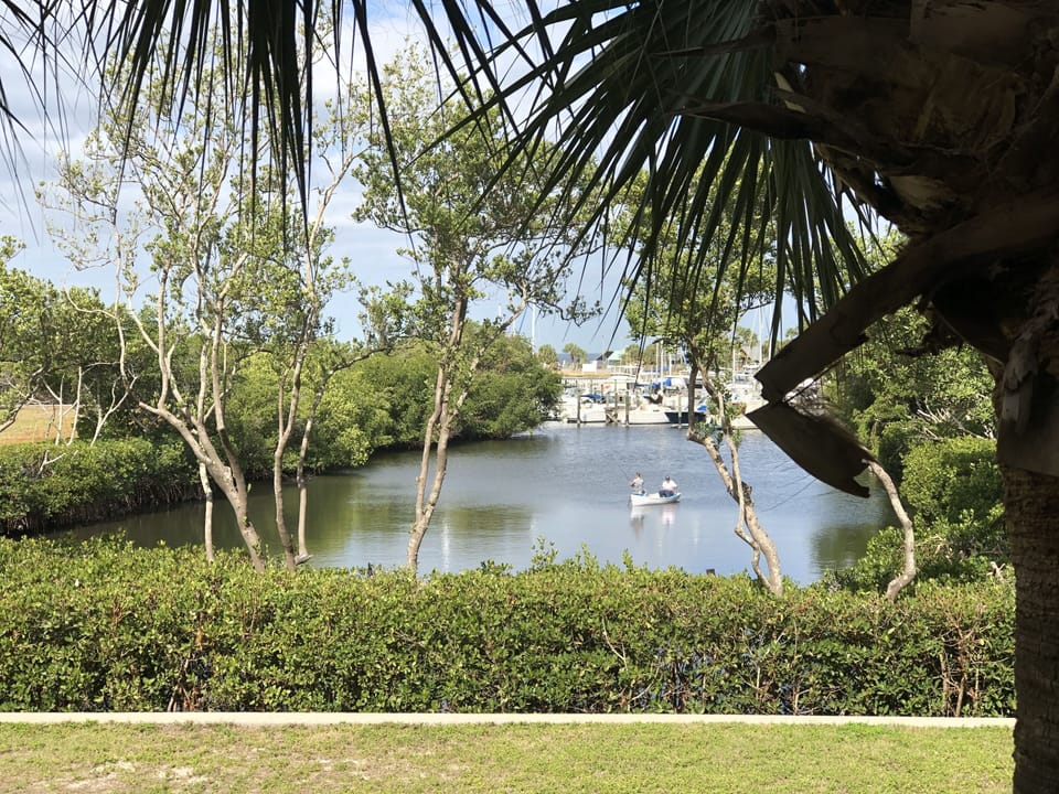 View from master bedroom