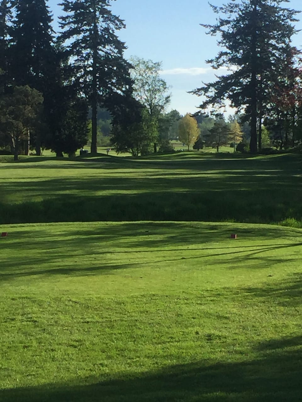 Plenty of Golf courses for every level of player