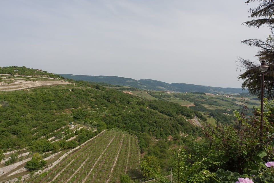 Ancient farmhouse from Valpolicella dated from 1812 House in Veneto