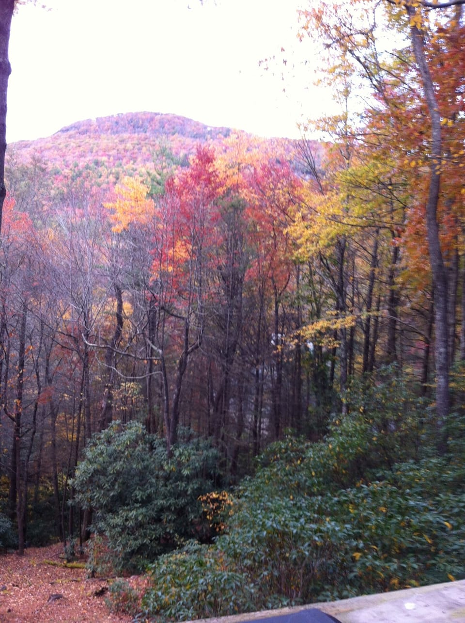 View from back small deck in Fall.