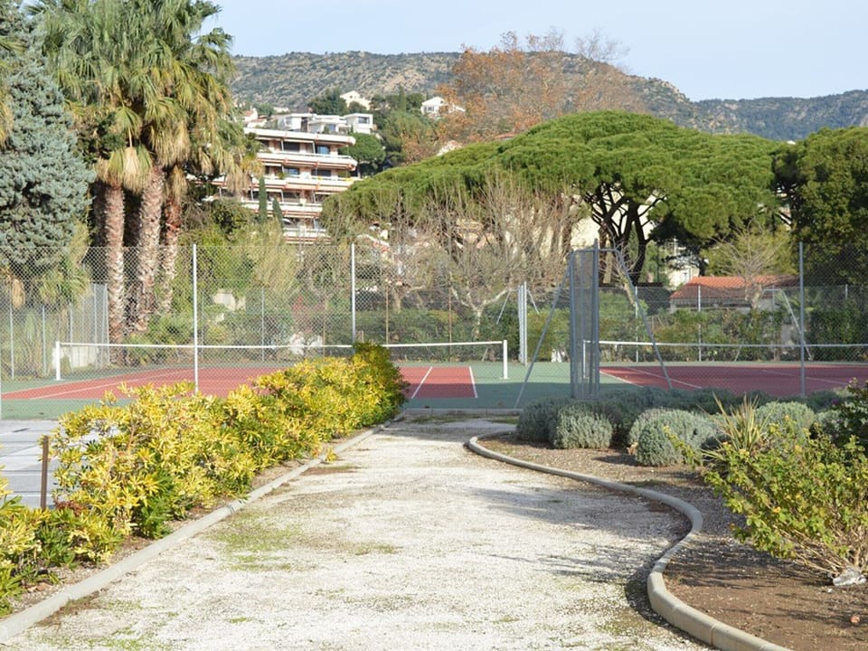Sport court