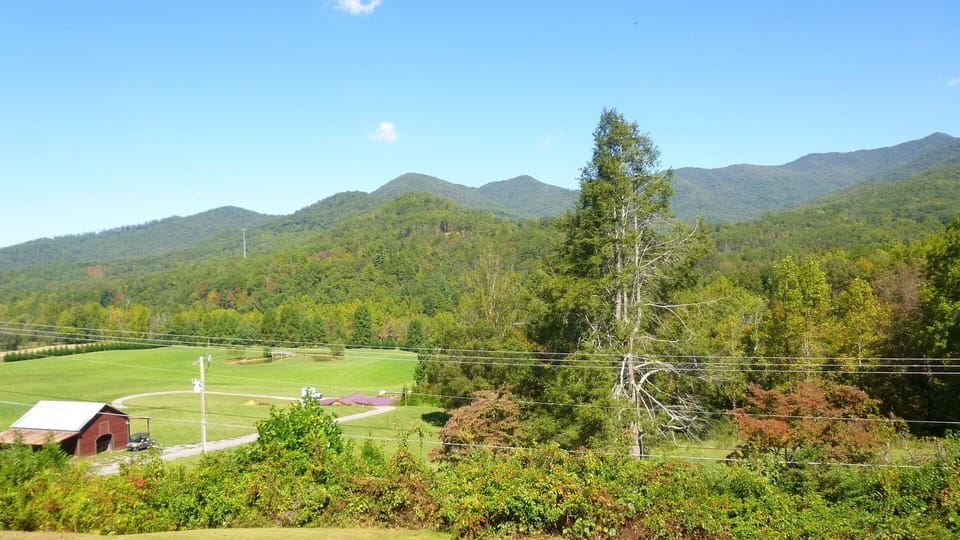 View  from  the  deck.