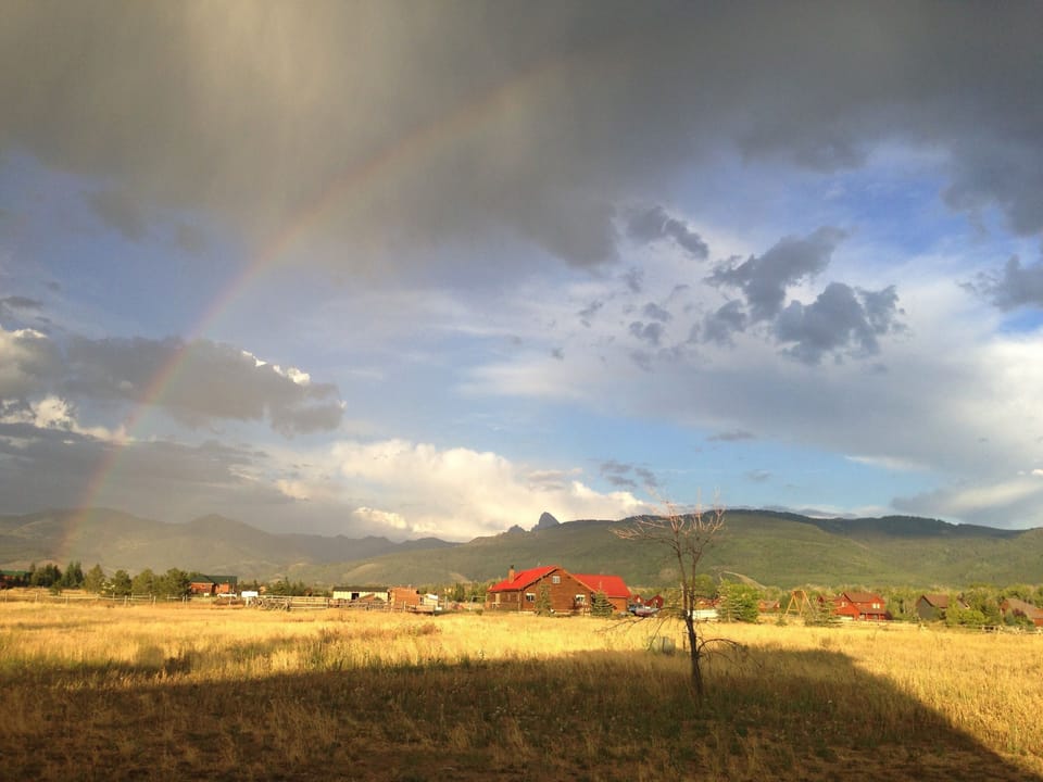 View from patio after a brief summer storm.