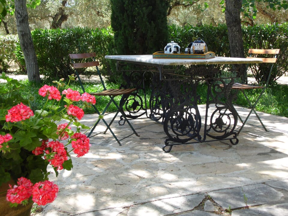garden view