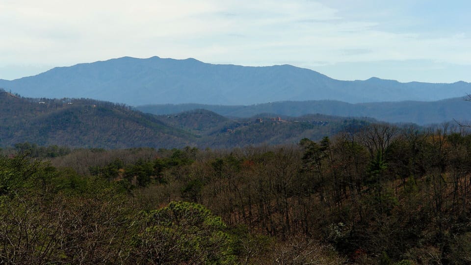 View of Mount Le Conte.