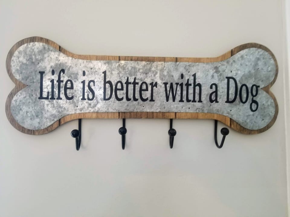Front Door Key Hook