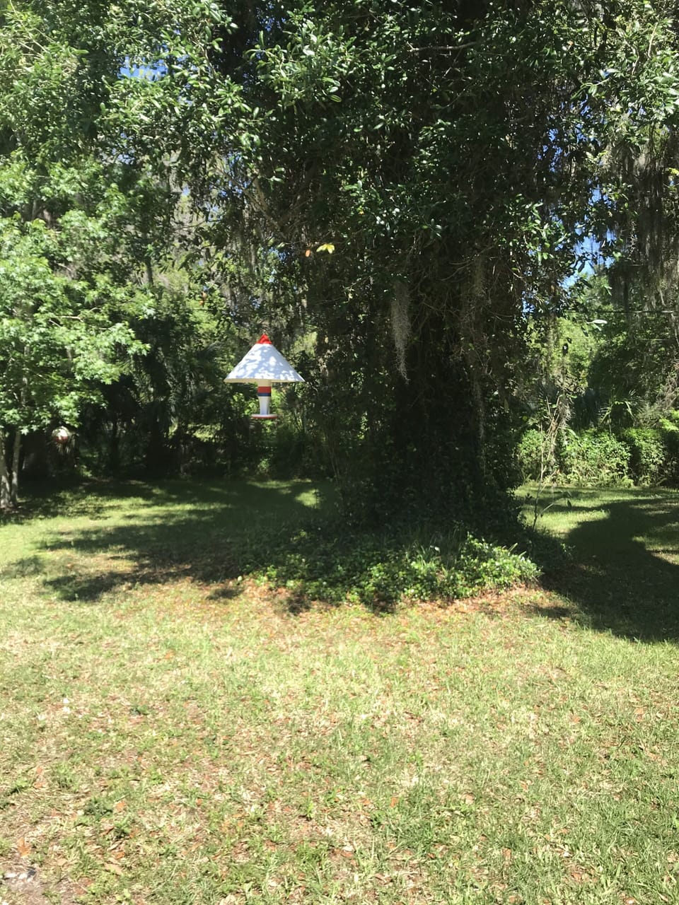 Bird feeder! Amazing!
